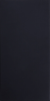 EchoGuard Fiberglass Black (Tegular) Ceiling Tile 2x4 - Box of 10