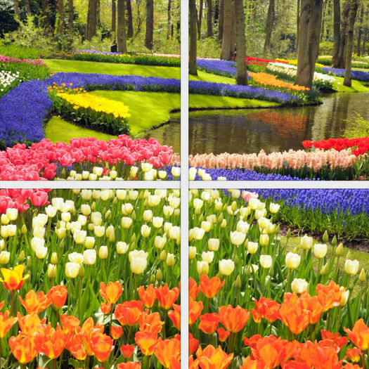 Blooming Flower Ceiling Tiles