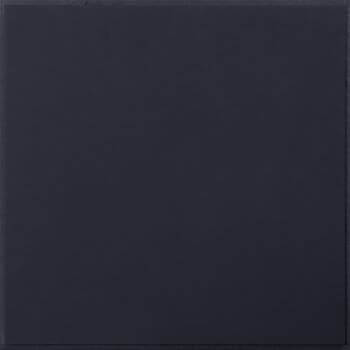 EchoGuard Fiberglass Black Tegular Ceiling Tile - Box of 10