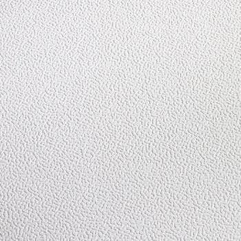 Duraclean Texture Ceiling Tile Box Of 10