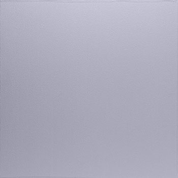 Durarock Sabulo Ceiling Tile 2x2 Box Of 10